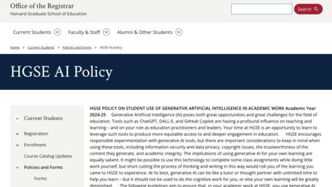 Screengrab of the HGSE AI Policy webpage